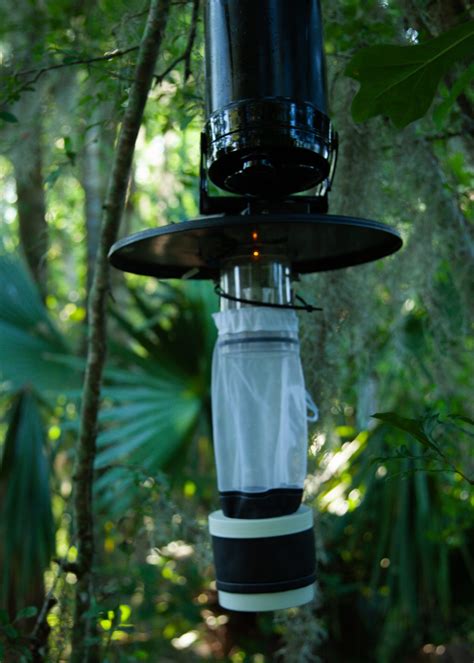 The Different Mosquito Surveillance Traps Are They All The Same