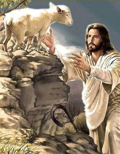 Are Jesus As The Good Shepherd Of The Sheep