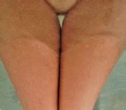 Your Amateur Picture Of The Day Thumbnails Only Page Phun Org Forum