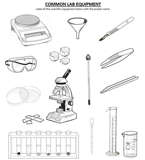 Safety Lab Equipment Biology Diagram Quizlet