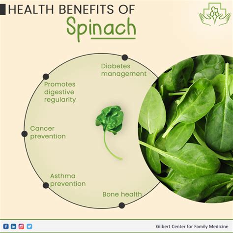 Health Benefits of Spinach - Urgent care center - GCFM