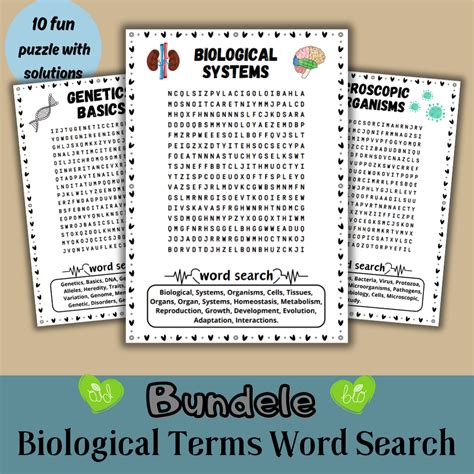 Biology Terms Bundle Word Search Puzzle Worksheet Activity Made By