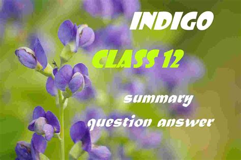 INDIGO Question Answer Summary Class 12 Important Q