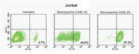 Novus Biologicals™ Psiva Apoptosis Detection Flow Cytometry Kit 25