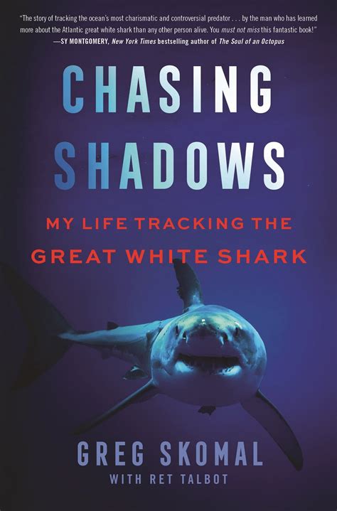 Fifty Years Of Chasing Sharks Imaginary And Real The Provincetown