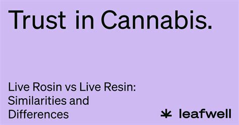 Live Rosin Vs Live Resin Similarities And Differences