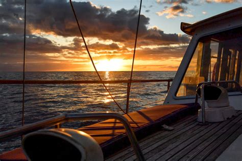 Funchal Excursi N En Velero Al Atardecer Para Avistar Delfines Y