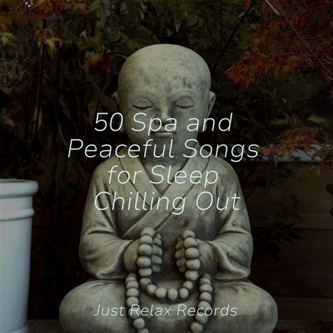 Spa And Peaceful Songs For Sleep Chilling Out Album By Spa Spotify