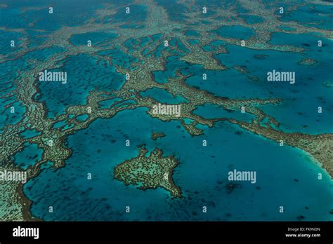 Aerial View Of Hardy Reef Home To The Heart Reef In The Great Barrier