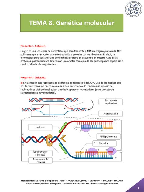 Ampliacion 2024 Soluciones Genetica Molecular Ingenieria Genetica Y Biotecnologia Pdf