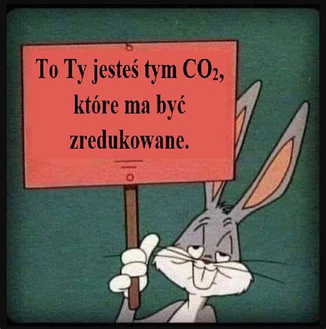 Królik czy tam zając wie