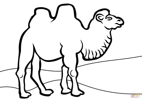 Camel clipart bactrian camel, Camel bactrian camel Transparent FREE for ...