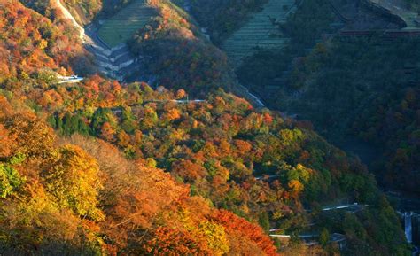 【中禅寺湖の観光ガイド】四季折々の表情を見せる雄大な自然景観を満喫！ Good Luck Trip