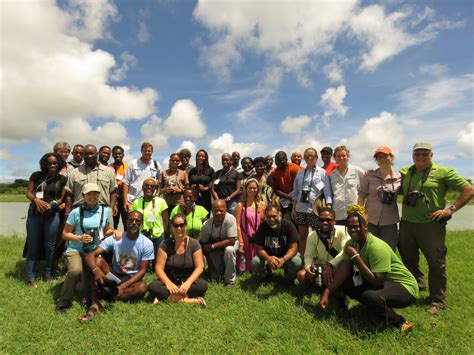 Birding Learning And Exploring The Wondrous Wetlands Of Barbados
