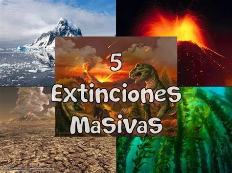 Las Cinco Extinciones Masivas A Lo Largo De La Historia De La Tierra