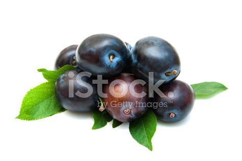 Fresh Purple Plums Stock Photo | Royalty-Free | FreeImages