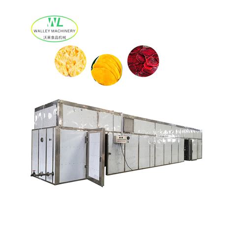 Customizing Tunnel Drying Machine Fruit Room Dryer Fruit Tunnel Dryer