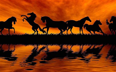 🔥 [90+] Horses at Sunset Wallpapers | WallpaperSafari