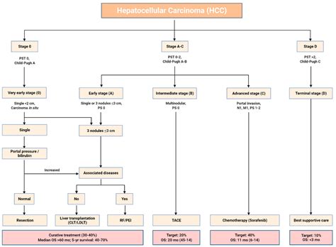 Livers Free Full Text Unresectable Hepatocellular Carcinoma A