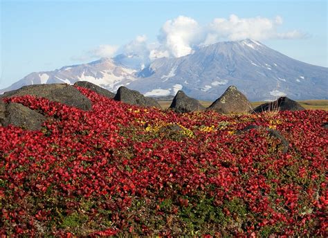 Pegunungan Gunung Berapi Tundra Foto Gratis Di Pixabay Pixabay