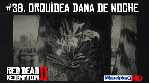 Localización Múltiple Orquídea Dama De Noche 36pendio Plantas Red Dead Redemption 2