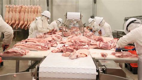 Sigue Creciendo Producci N Interna De La Carne De Cerdo En El Per