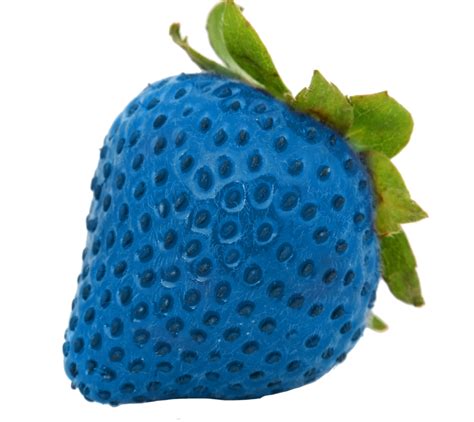 Blue Strawberry