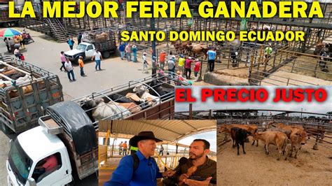 La Mejor Feria Ganadera Del Ecuador Y La Mas Grande Esta En Santo