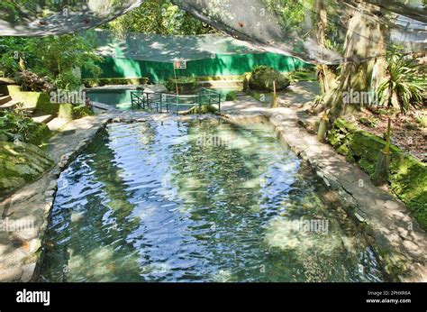 The Idyllic Ardent Hot Springs In Camiguin Philippines Surrounded By