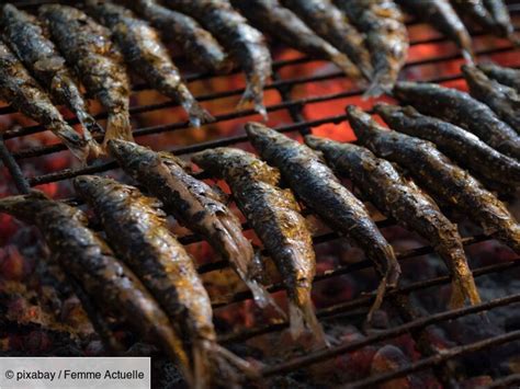 Comment réussir les sardines grillées au barbecue nos recettes