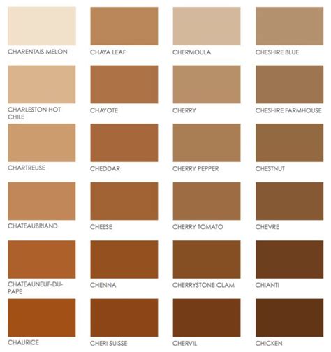 Neutral Browns Color Palette