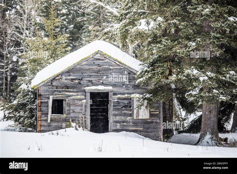 Trappers Cabin Hi Res Stock Photography And Images Alamy