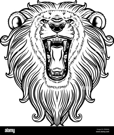 Roaring Lion Stock Vector Images Alamy