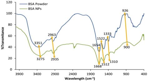 Ftir Spectra Of Bsa Powder And Bsanps Download Scientific Diagram