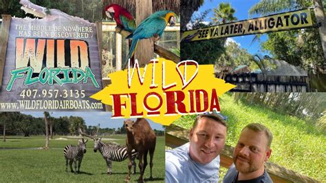 Wild Florida Safari Costco Uncle Julios Florida Youtube