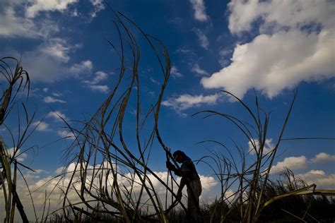 Crecimiento económico en América Latina desacelera Columna Digital