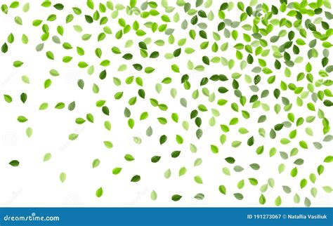 Swamp Leaf Forest Vector Transparent Background CartoonDealer