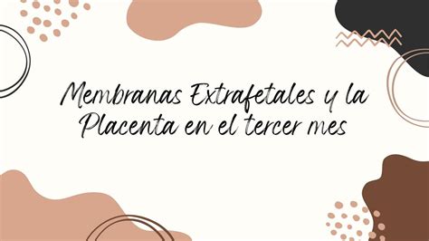 Membranas Fetales Y Placenta Kiwii Udocz