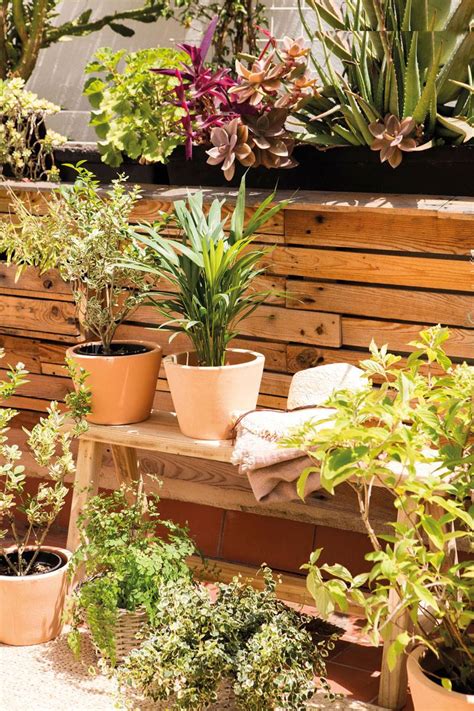 Cuánto cuesta un paisajista para la terraza o el jardín