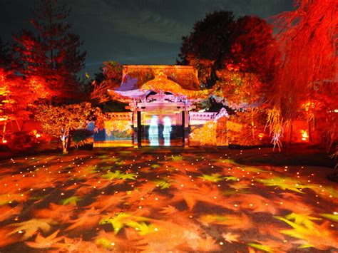 2023年 京都祇園周辺寺院の秋のライトアップ情報清水寺高台寺圓徳院知恩院日程時間穴場予約プロジェクションマッピングバス