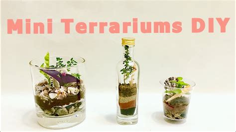 Diy Terrarium By Indian Plants Mini Garden In Bottle Glass Cup With Layering For Free By