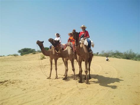 Da Jodhpur Gita Guidata Di Un Giorno A Osian Con Camel Safari