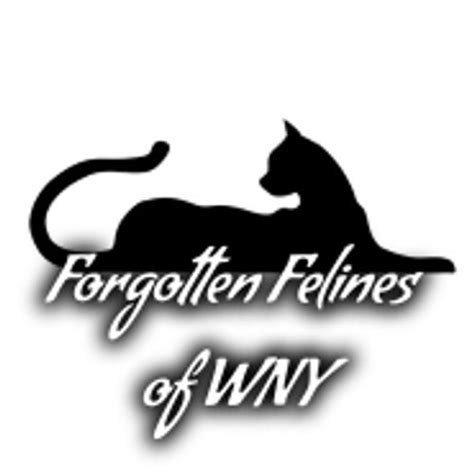 Forgotten Felines of WNY