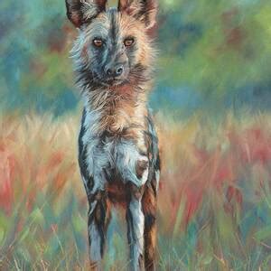 Grey Wolf Painting By David Stribbling Fine Art America