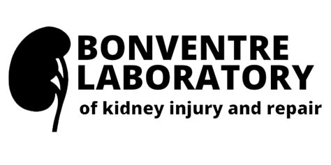 Joseph V Bonventre Md Phd Bonventre Laboratory