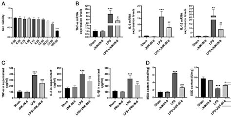 Jnk In Attenuates Lps Induced Inflammatory Cytokine Production And