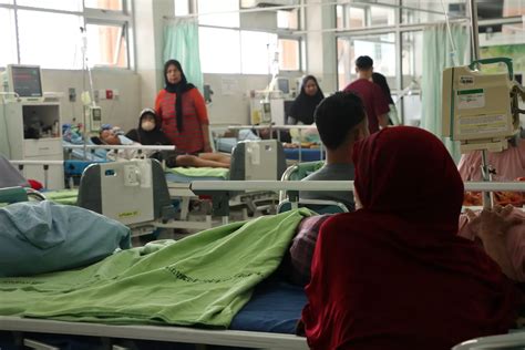 Dbd Renggut Dua Nyawa Di Ponorogo Kedua Pasien Alami Dengue Shock