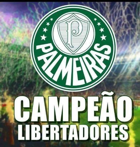 Pin De Claudemir Rufini En Palmeiras Futebol