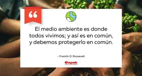 41 Frases Inspiradoras Para Cuidar El Agua Y Preservar Nuestro Planeta