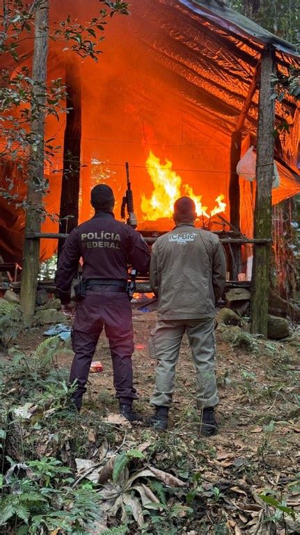 Pf E Icmbio Deflagram A Opera O Tingu I Para Combater A Ca A Na Mata